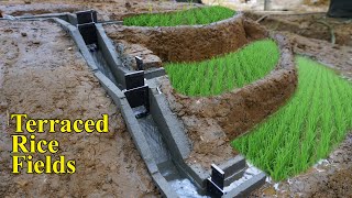 Construction of Terraced Fields and Irrigation Systems Rice Cultivation In Mountainous Areas [upl. by Tonjes]