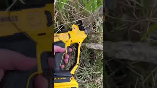 Save time and effort cutting branches with this DeWalt Power Pruner [upl. by Fogel531]