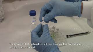 One Step Plant Tissue Lipid Extraction [upl. by Annaierb]