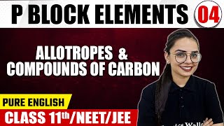 P BLOCK ELEMENTS 04  Allotropes amp Compounds of Carbon  Chemistry  Pure English Class 11NEETJEE [upl. by Jeremias]