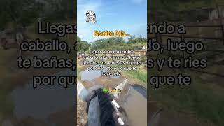 Consejos de Oro ✍️☘️ caballos rancho caballosfinos vaqueros corridos 🤠 [upl. by Letram]