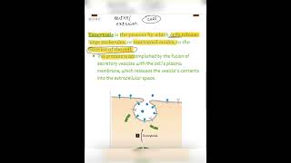 Let’s learn about Exocytosis CSIRNET NET2024 CSIR2024 Exocytosis LifeScience Jrf CellBio [upl. by Kerri649]