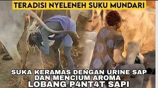 Mundari suku Yang Hobi Keramas Dengan Kencing Sapi amp Kotorannya Sebagai Tabir Surya [upl. by Aniluap72]