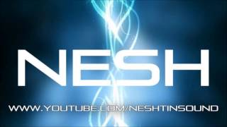 Nesh  NeshTinSound  Mit oder ohni Dich 2013 [upl. by Ahel]