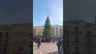 Plaza Mercadal Reus Tarragona Catalonia Spain 🇪🇸 reus cataluña tarragona spain [upl. by Hopkins]