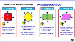 Cuadriláteros Propiedades fundamentales y paralelogramos  5to de primaria [upl. by Nylessej276]