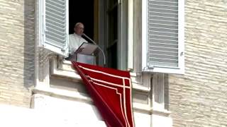 Papa Francesco  Angelus 25 Agosto 2013 [upl. by Anella]