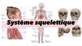 Cours 2  Système squelettique 🩻  شرح بالدارجة [upl. by Roee942]