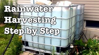 Rainwater Collection  Step by Step installation of IBC totes [upl. by Hakkeber]