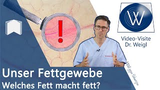 Unser Fettgewebe Was ist überhaupt Fett amp wieso vermehrt es sich Typische Erkrankungen erklärt ✅ [upl. by Poppas947]