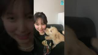 eng sub TWICE NAYEON VLIVE 1 [upl. by Edijabab843]