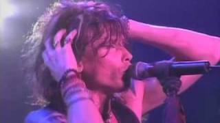 Aerosmith  I Dont Want to Miss A Thing Live in Japan [upl. by Gawlas]