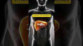 Bio Bonding  liver functions animation liver fattyliver facts interestingfacts [upl. by Elletnahs]