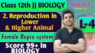 L4  2 Reproduction in Lower and Higher Animal Class 12 Biology Sexual Reproduction biology [upl. by Timmie]