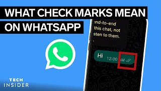 What Do The Check Marks Mean On WhatsApp  Tech Insider [upl. by Amimej]