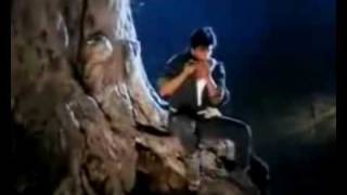 Koyla Mix  Shahrukh amp Madhuri [upl. by Areval]