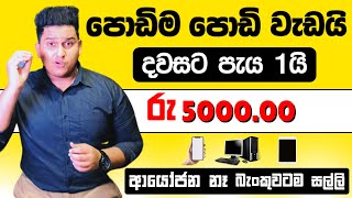 How to Earn EMoney Online Sinhala  Hive Micro Earn Money  Task Complete Job  Mission Cash [upl. by Pisarik741]