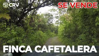 Se vende FINCA CAFETALERA en Usulután  video 01  CRV EL SALVADOR [upl. by Tjaden389]