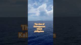 the view of Kalanggaman Island philippines shortvideo thankylord travel [upl. by Teirtza489]