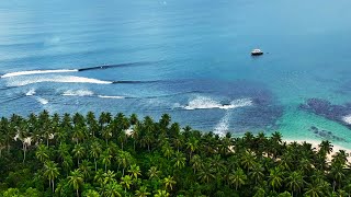 A fun morning Surfing Beng Bengs  Mentawai Island [upl. by Alurd]