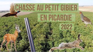 Chasse au petit gibier en Picardie 2022 Lièvre faisan perdrix grises renard chevreuil [upl. by Sumner]