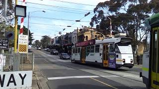 The Kooyong Tram Square [upl. by Nnylirej650]