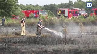 3 hectare van Oirschotse Heide in Oirschot afgebrand [upl. by Barstow]