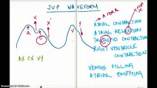 EASY WAYS TO REMEMBER JVP WAVEFORM [upl. by Luahs]