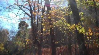 Walking Up Mont Royal [upl. by Eldred]