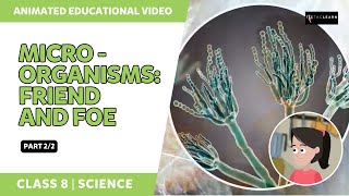 Microorganisms Friend And Foe  Virus and Bacteria  Part 22  Class 8 Science  TicTacLearn [upl. by Kihtrak]