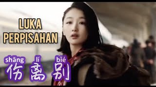 伤离别  Shang Li Bie  魏新雨 • Wei Xin Yu • Luka Perpisahan  Lagu Mandarin Lirik Indonesia  Pinyin [upl. by Hamian286]