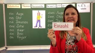 Deutschunterricht in der Grundschule Klasse 1 und 2 Substantive  Einzahl und Mehrzahlbildung [upl. by Nnaillek]