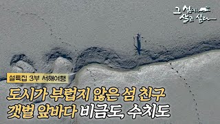 설맞이 국내여행🙇‍♀️🙇 서해 생명의 바다 갯벌과 바다가 마당인 내 친구 남 부럽지 않은 섬 생활이야기｜KBS 20170729 [upl. by Tollman]