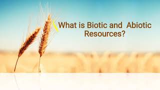 What is Biotic and Abiotic resources in Hindi [upl. by Dimphia]