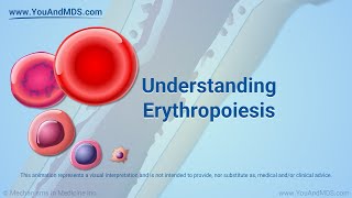 Understanding Erythropoiesis [upl. by Adnohsel]