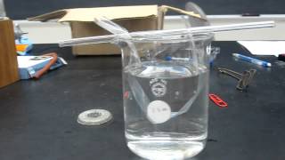 Lab Demo  Dialysis Tubing 001 [upl. by Nilek]