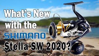 Shimano Stella SW 2020 [upl. by Orapma]