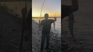 Fishing in the dark fishing carpfishinglife carpfish carplife fish freshwaterfish [upl. by Vinia]