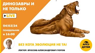 Занятие quotБез кота эволюция не таquot кружка quotДинозавры и не толькоquot с Ярославом Поповым [upl. by Brookhouse]