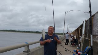 NYCFishing at the Cross bay North channel bridge 8312024 [upl. by Beltran717]