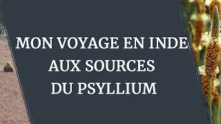 MON VOYAGE EN INDE AUX SOURCES DU PSYLLIUM  Bernard Clavière [upl. by Gnad91]