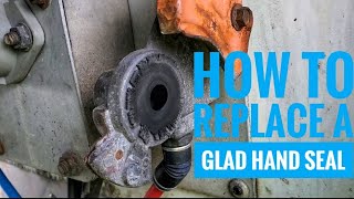 How to replace a Glad hand seal [upl. by Brighton]