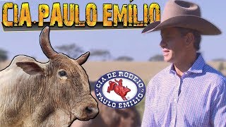 Especial Cia de Rodeio Paulo Emílio ║ Bipolar Agressivo Bandido 🐂 [upl. by Jegger]