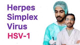 Herpes Simplex Virus  1 HSV1  Clinical Manifestations [upl. by Tann]