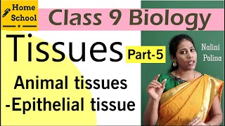 Tissues class 9 Biology Part5 [upl. by Anirhtak]