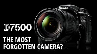 NIKON D7500 Review  The most forgotten camera [upl. by Fontana]