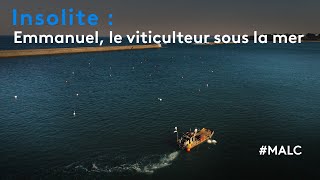 Insolite  Emmanuel le viticulteur sous la mer [upl. by Senalda]