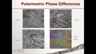 John Wessels  SAR polarimetry for flooded vegetation [upl. by Morgenthaler944]