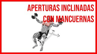 Aperturas Inclinadas con Mancuernas EJERCICIOS PARA PECHO [upl. by Rosaleen462]