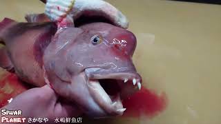 Asian Sheepshead fish Skinning Skills Kobudai [upl. by Riatsala]